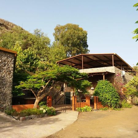 巴尔塞基略Peaceful House Set On A Vineyard & Work Friendly别墅 外观 照片