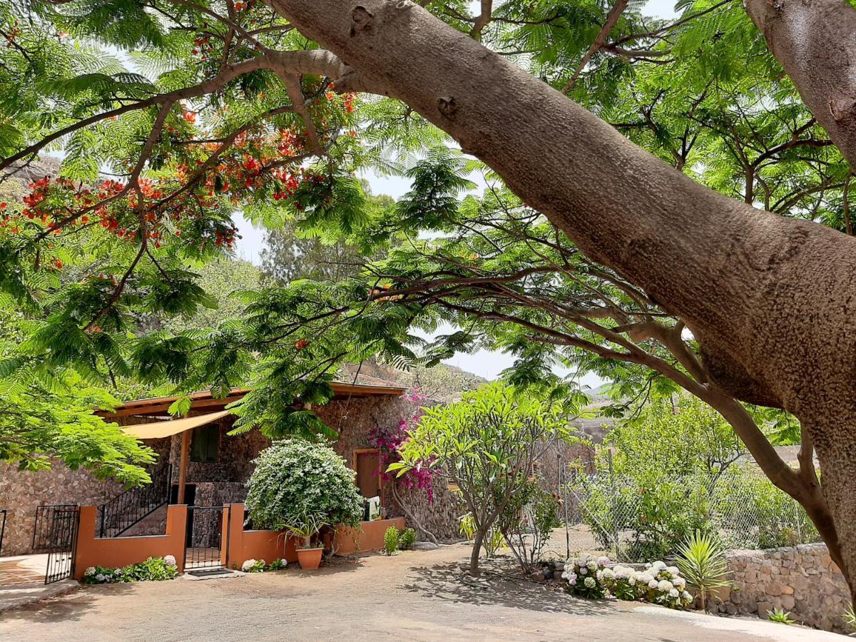 巴尔塞基略Peaceful House Set On A Vineyard & Work Friendly别墅 外观 照片