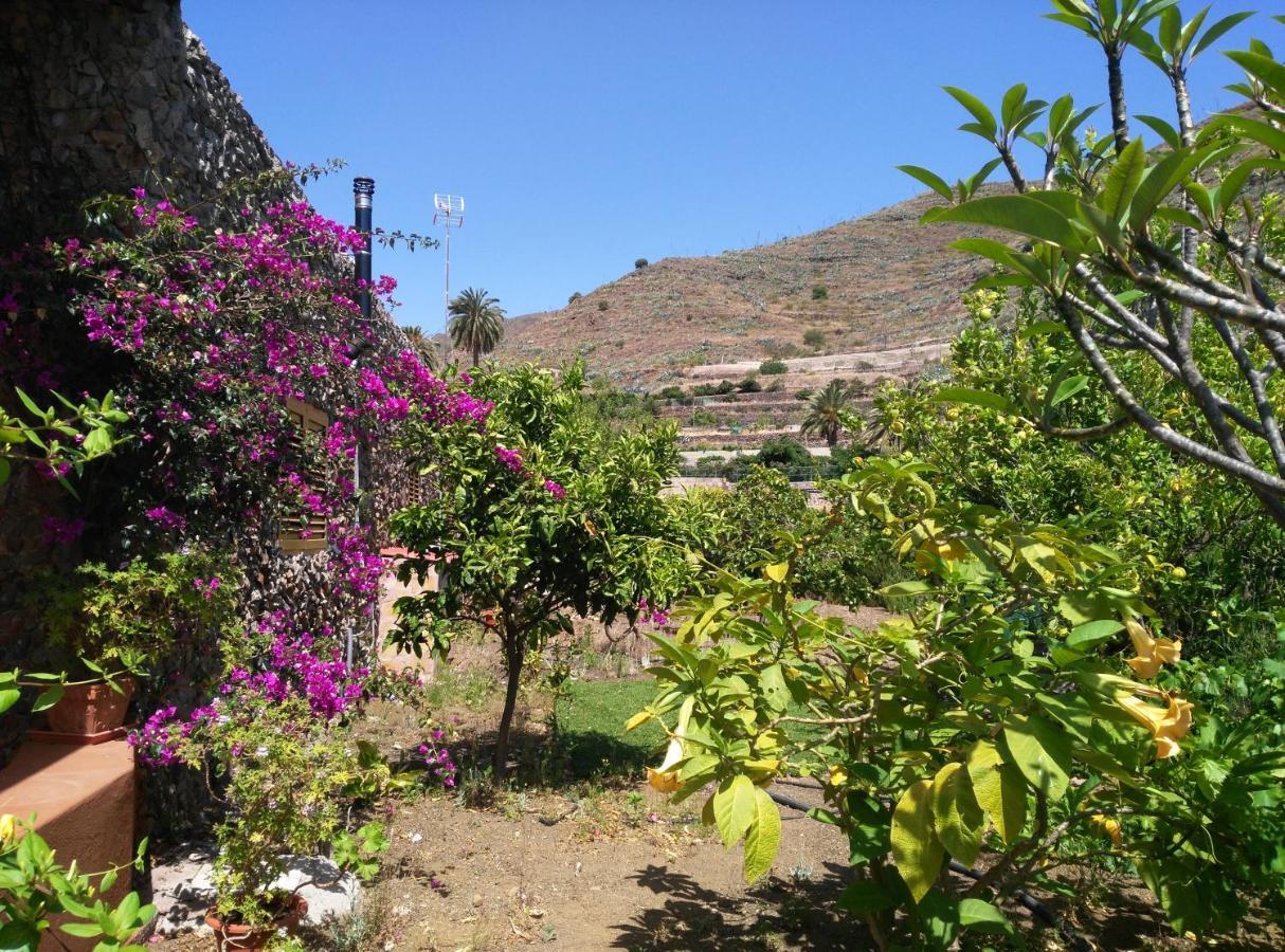 巴尔塞基略Peaceful House Set On A Vineyard & Work Friendly别墅 外观 照片