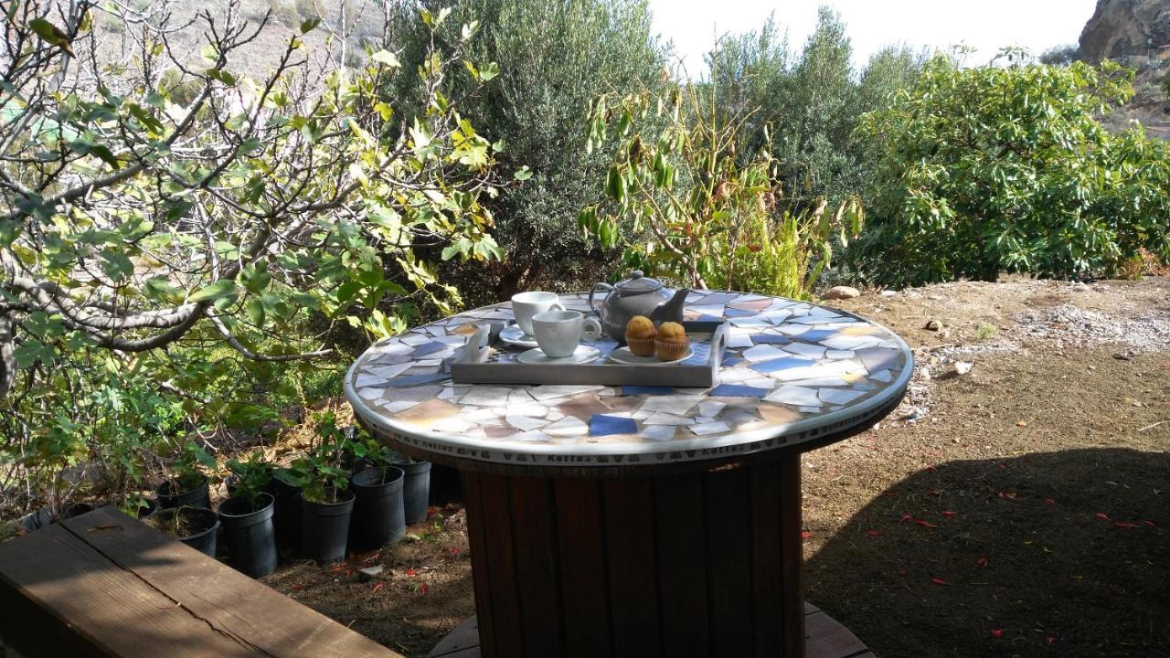 巴尔塞基略Peaceful House Set On A Vineyard & Work Friendly别墅 外观 照片